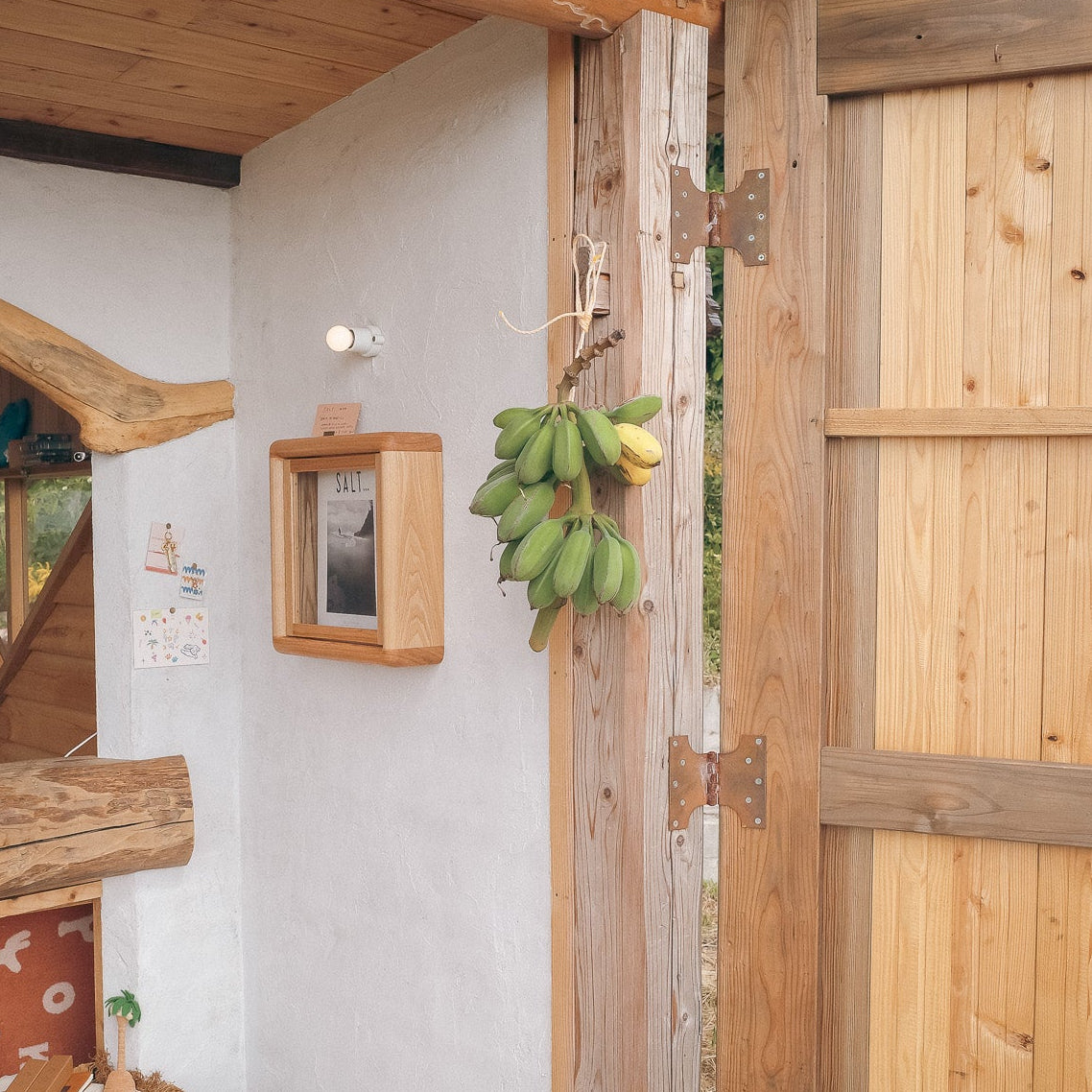 <holiday box> VEGAN ICE CREAM 6pc + DOG ICE CREAM 2pc